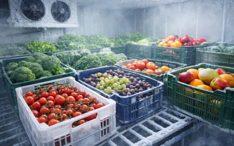 ❄採購「生鮮蔬果冷凍技術」